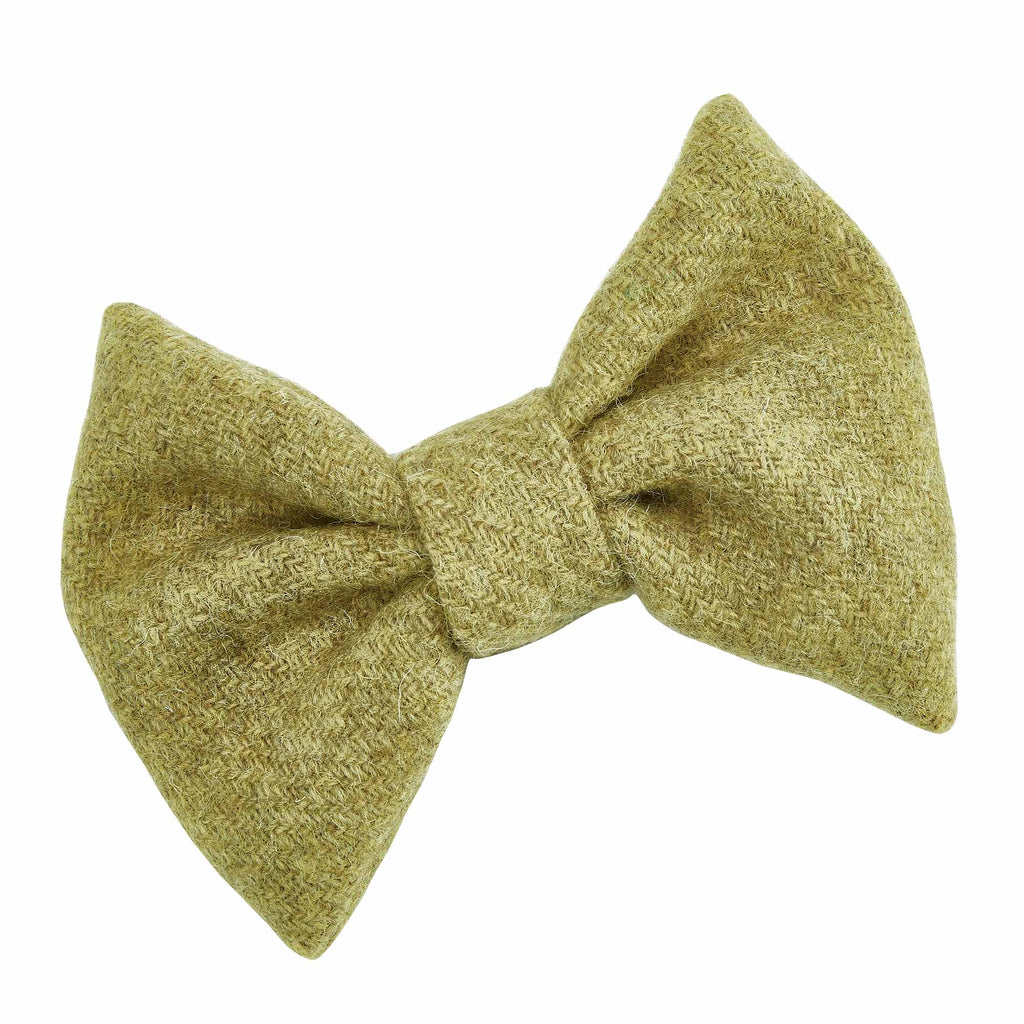 SUSTAINABLE DESIGNER DOG BOW TIE IN FERN GREEN HARRIS TWEED MADE IN ENGLAND