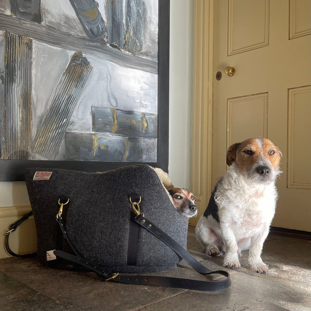 jack russell terriers in luxury sustainable dog carrier by LISH London eco dog apparel brand