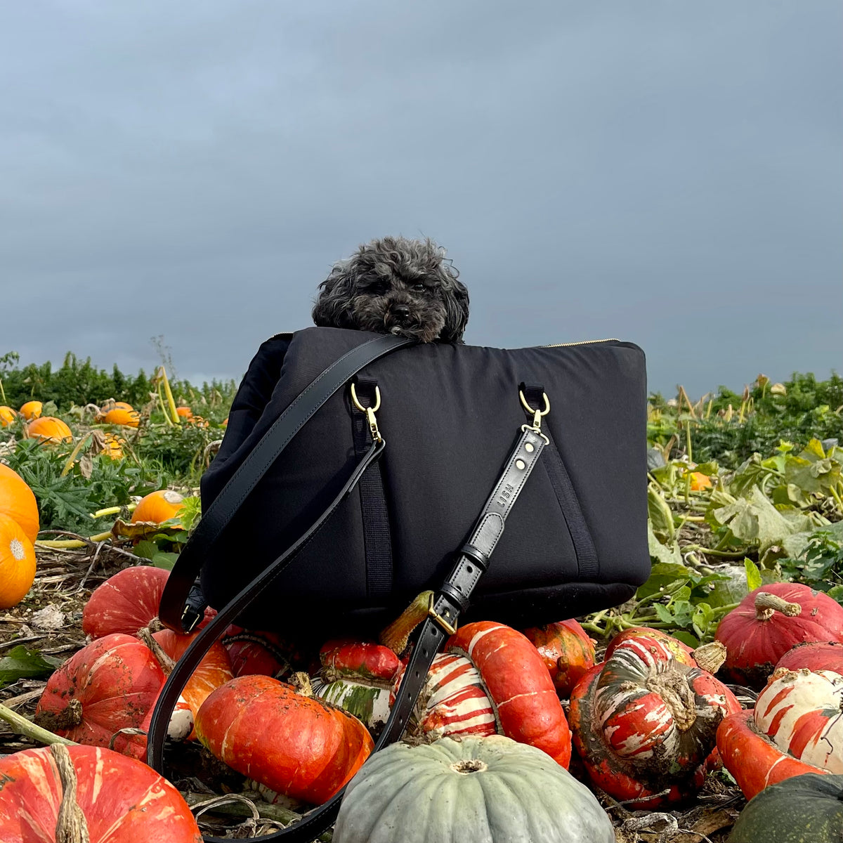 Pet Stroller Pet Carrier BETOP Dog And HOUSE Mirror Surface Faux