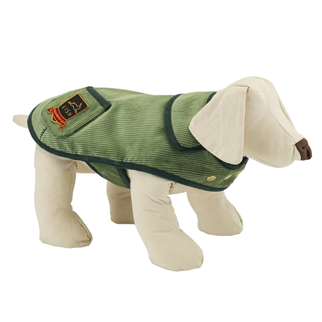 Picture of Arnold Sage Green Wide Wale Corduroy Dog Jacket | LISH