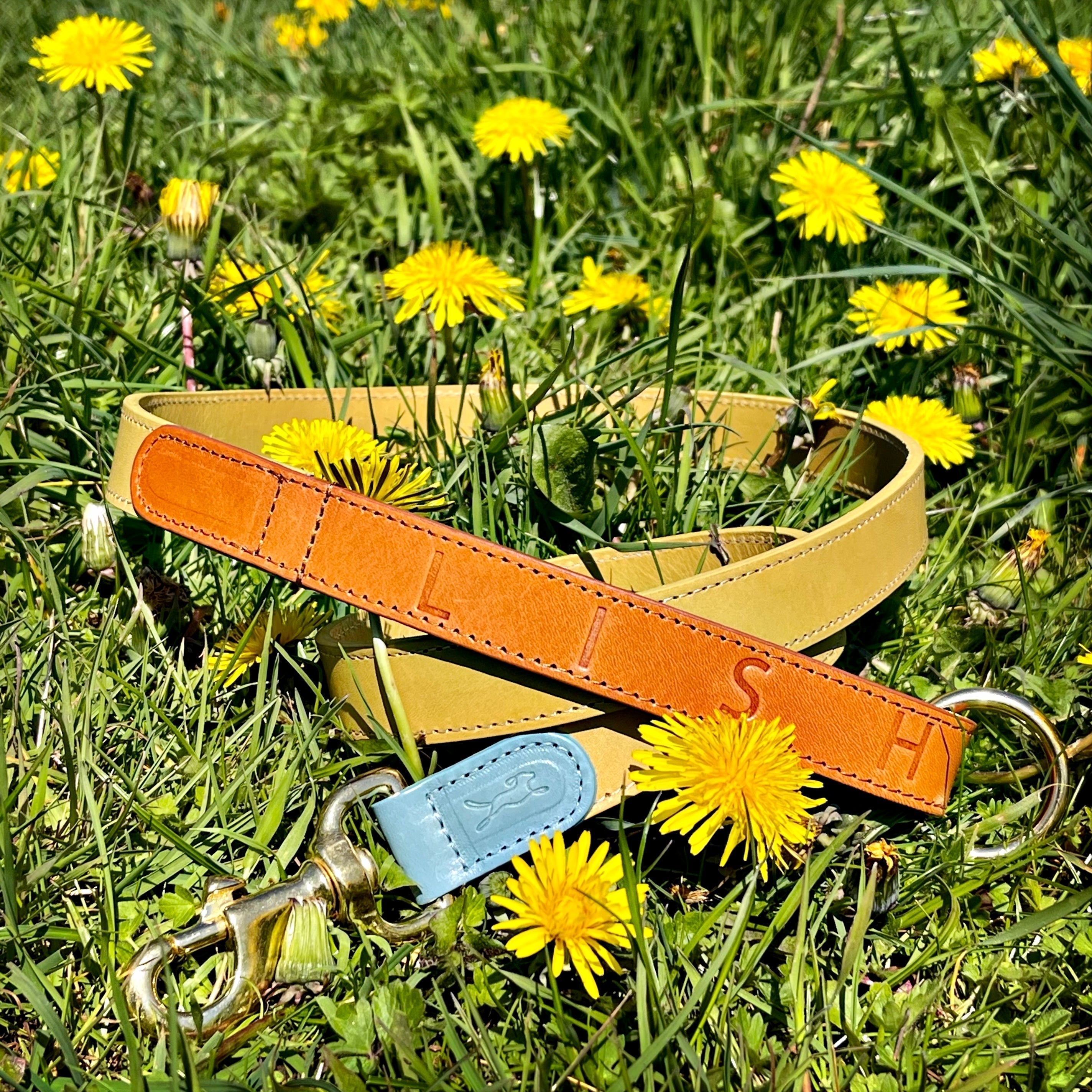 Why Vegetable-Tanned Leather Is Better for Dog Collars