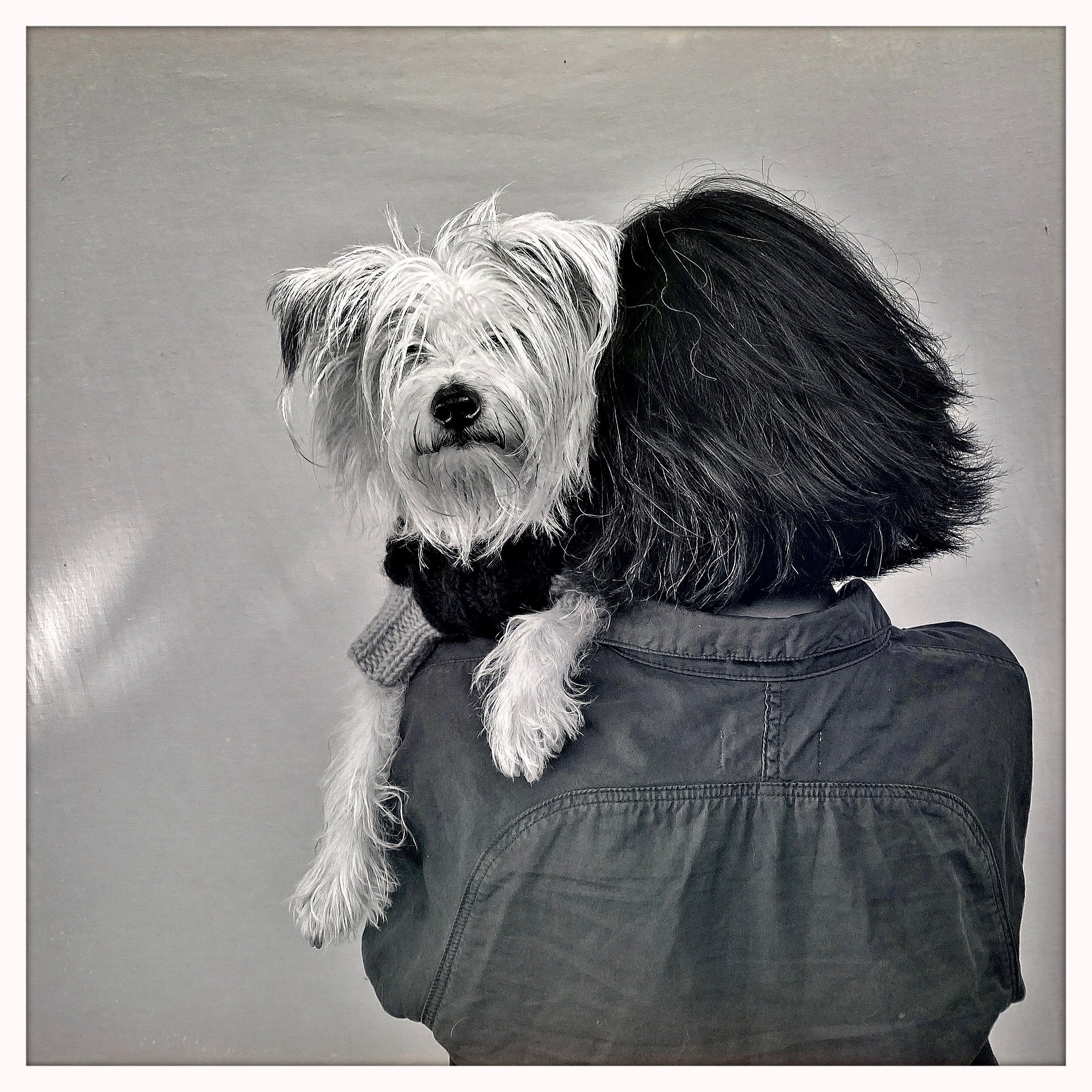 WHAT MADE ME HAPPY TODAY BY LILLY & RABBIT