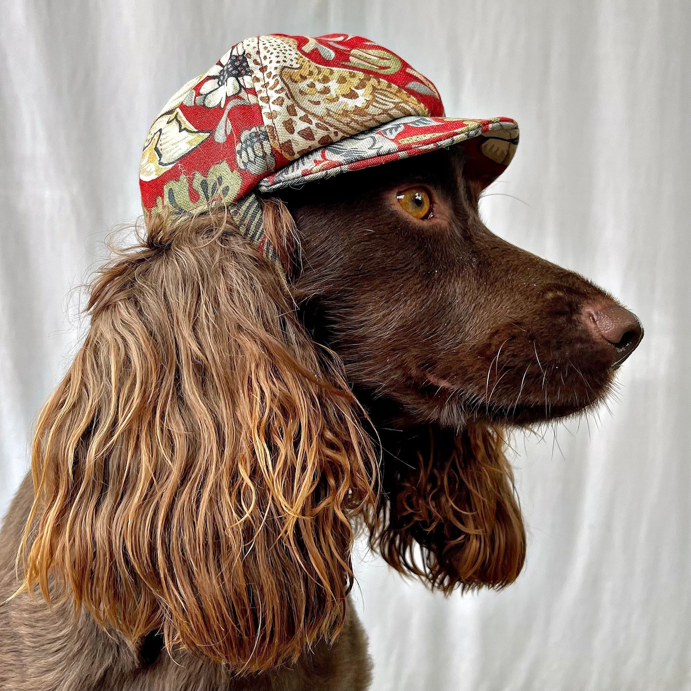 10 Stylish Dog Breeds and the Accessories That Suit Them Best