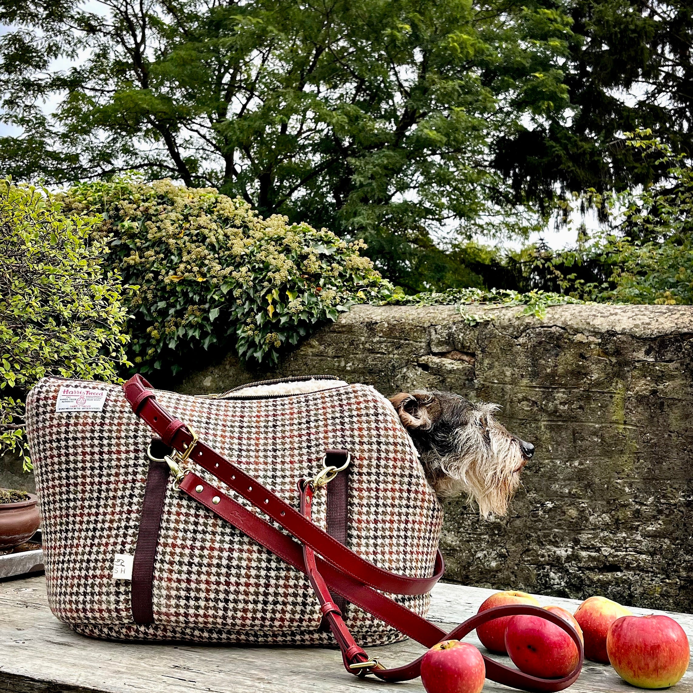 WHAT MAKES OUR SUSTAINABLE LUXURY DOG CARRIER & PET TRAVEL BED TRULY SPECIAL?