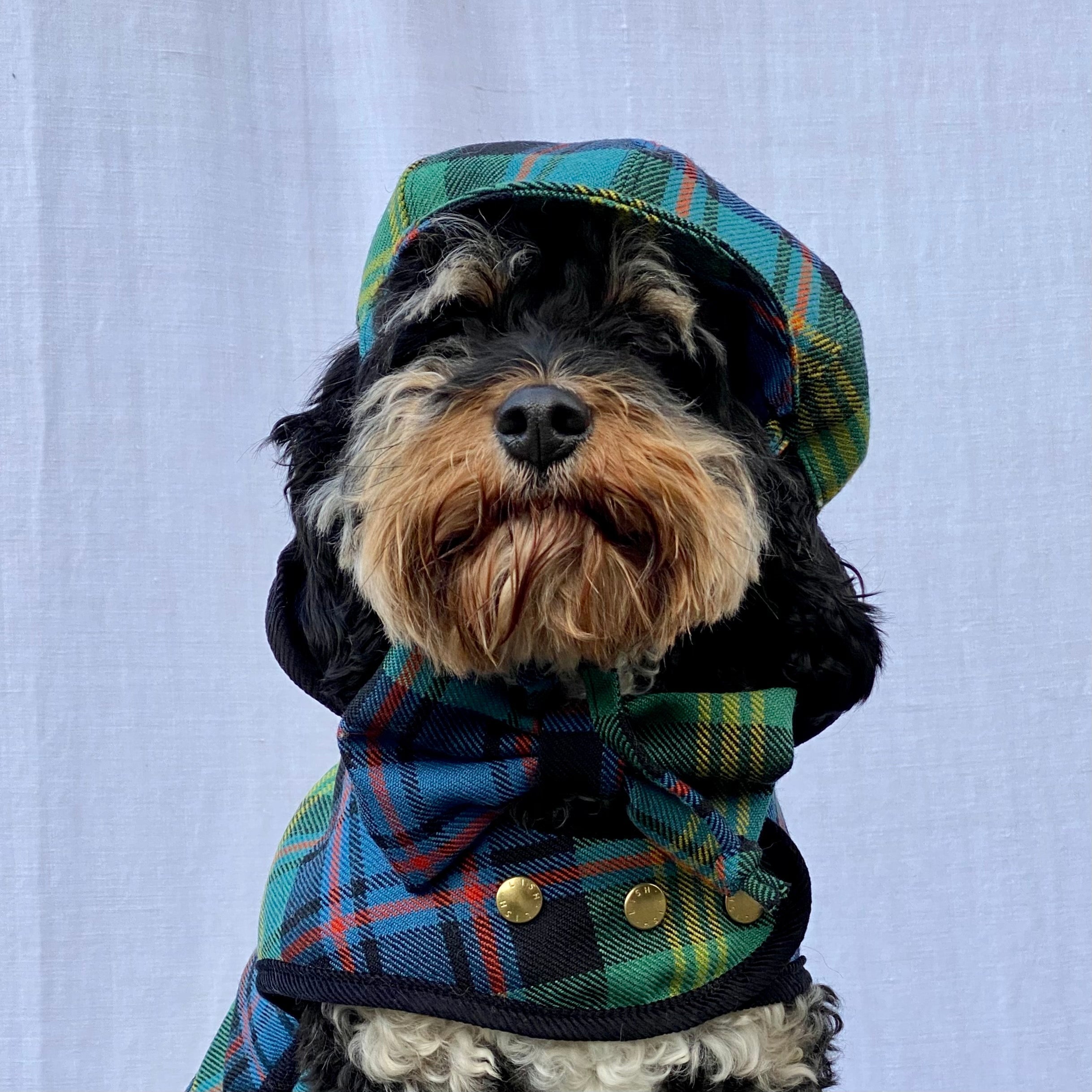 Why Harris Tweed and Tuscan Leather Matter in Luxury Dog Accessories