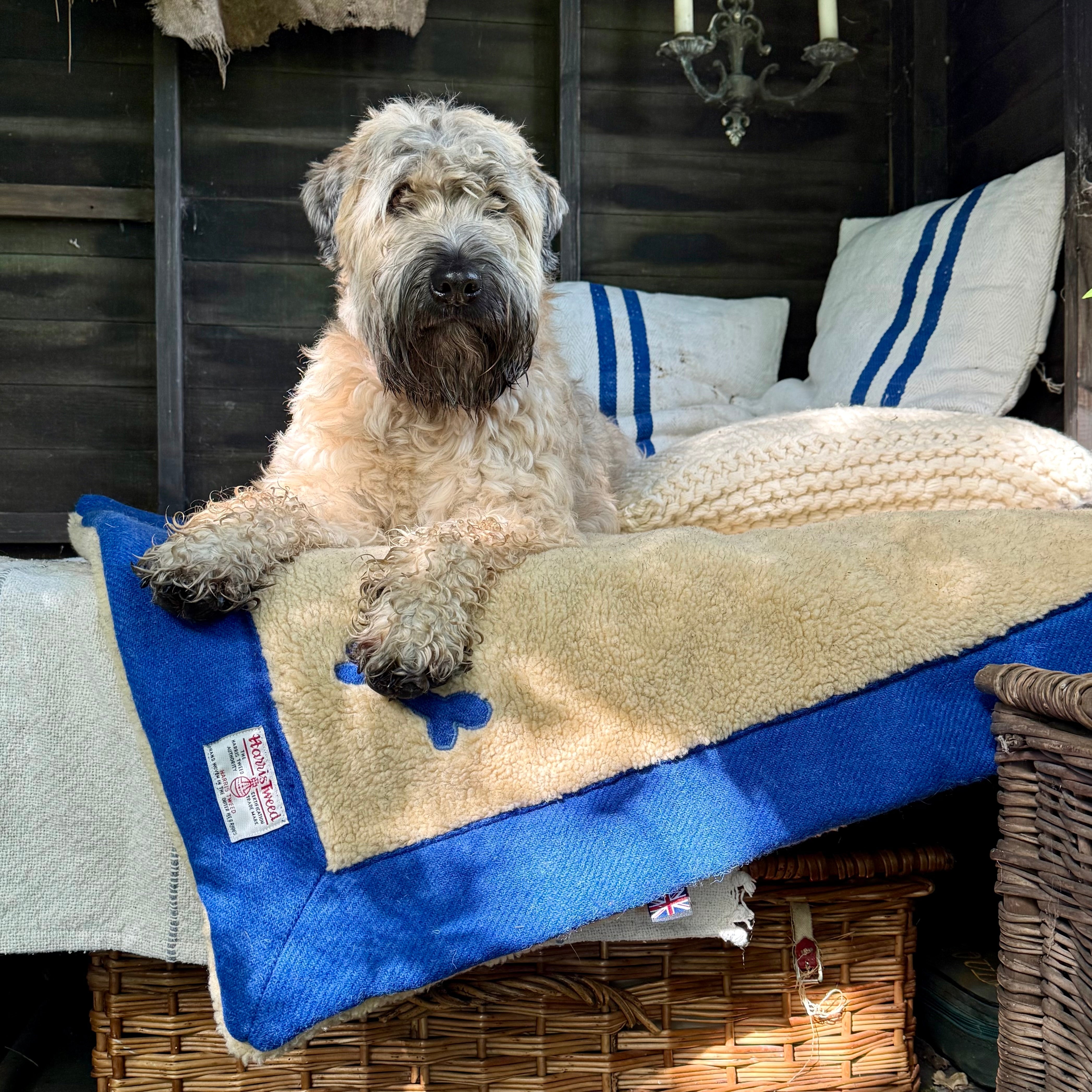 Linen Versus Harris Tweed Wool Dog Blankets: Which Is Best for Your Dog?