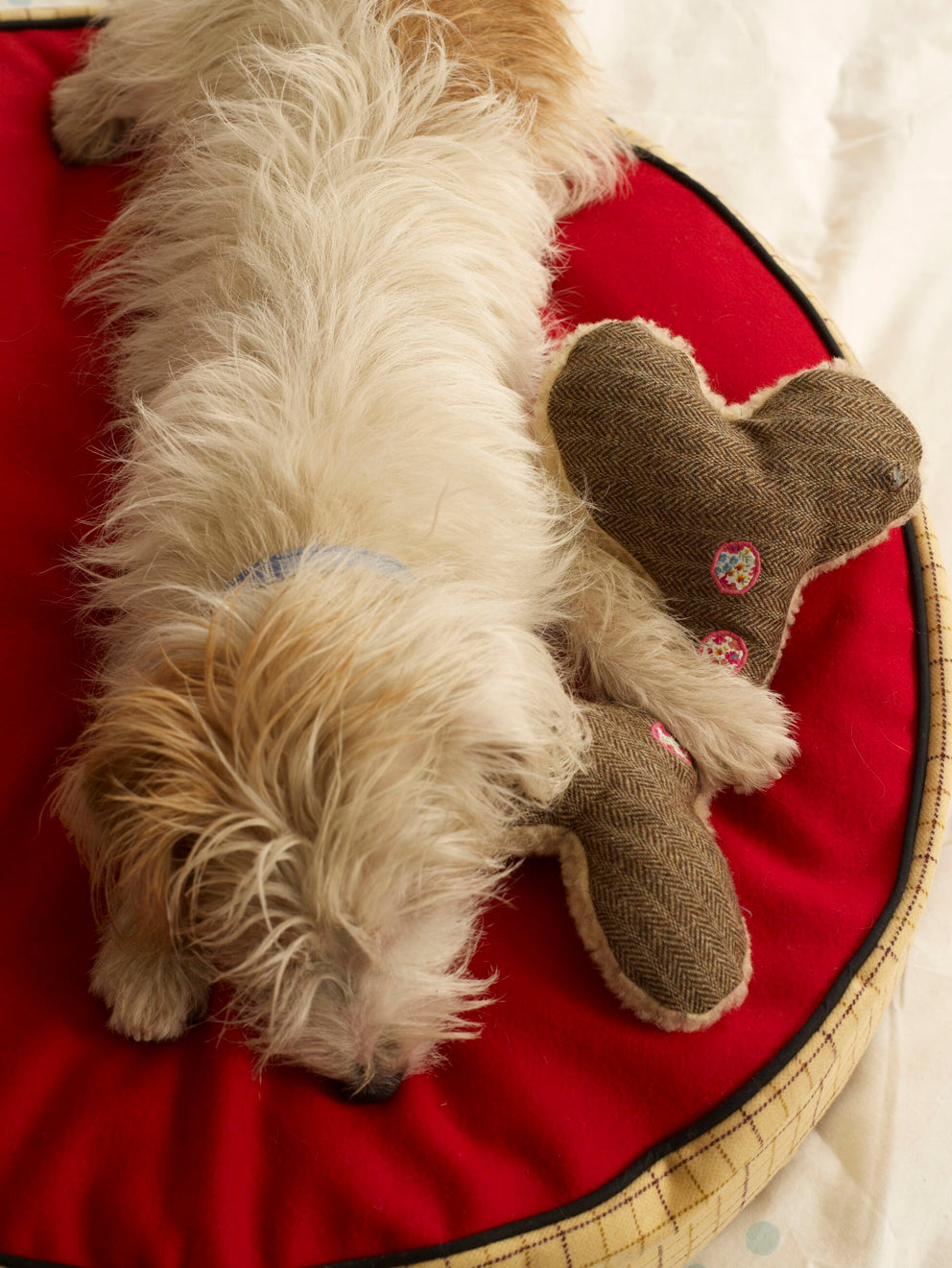 GET CRAFTY AT HOME DURING LOCKDOWN & MAKE A SQUEAKY BONE DOG TOY FOR YOUR DOG