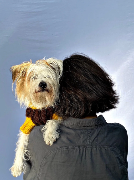 20 Years of Canine Couture: Inside Lilly Shahravesh’s London Design Studio