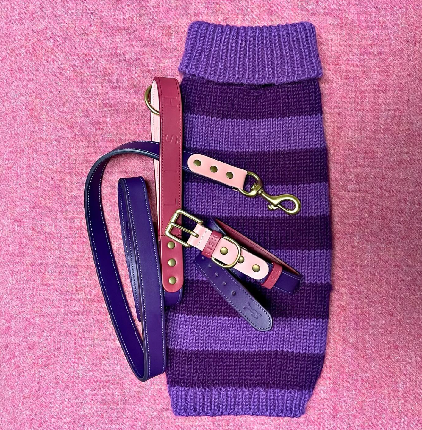 Why Dog Accessories Should Last for Years – Not Seasons