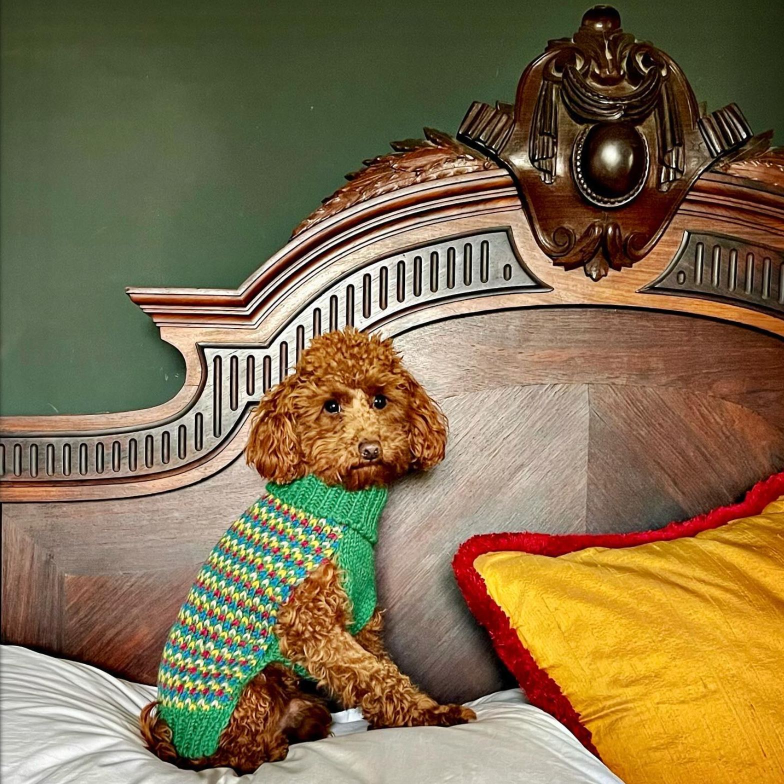 British Craftsmanship vs Mass-Produced Dog Accessories: What's the Difference?