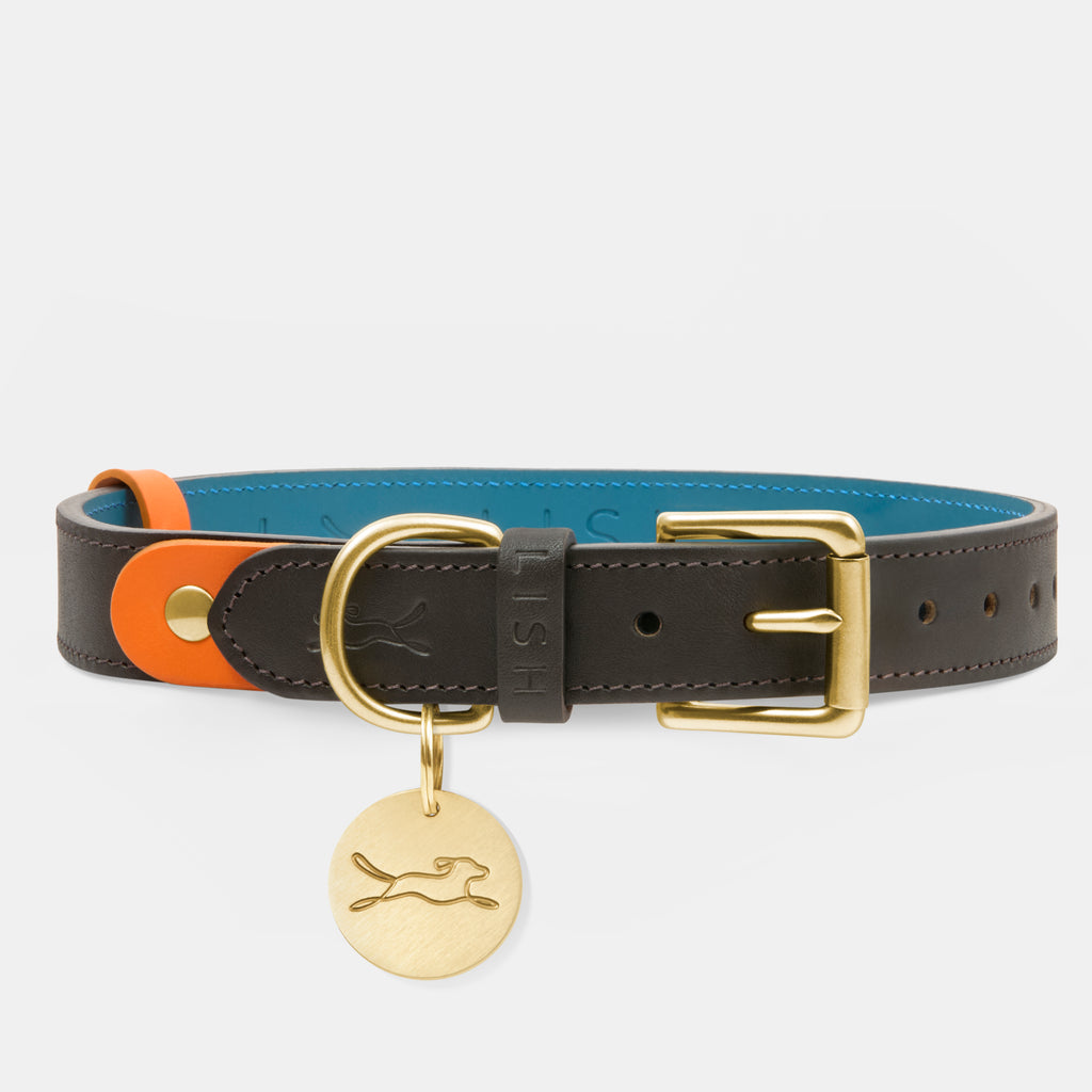 luxury dark brown, with splash of Orange luxury designer dog collar made in England from vegetable tanned Italian leather, with solid brass  dog tag,  designed by LISH London British luxury premium dog accessory  Brand