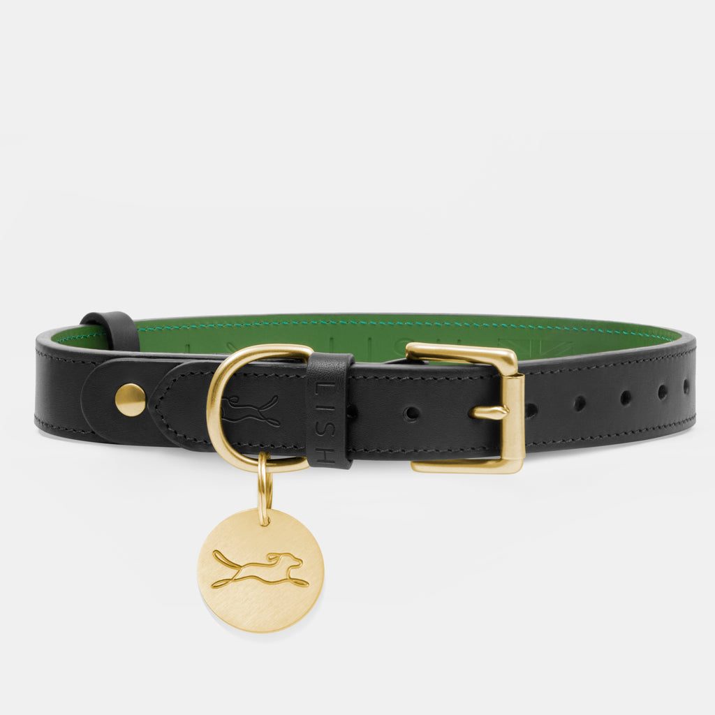 Premium black Italian leather luxury dog collar, made in England with green contrast lining by luxury British dog accessory brand LISH with solid brass dog tag attached. 