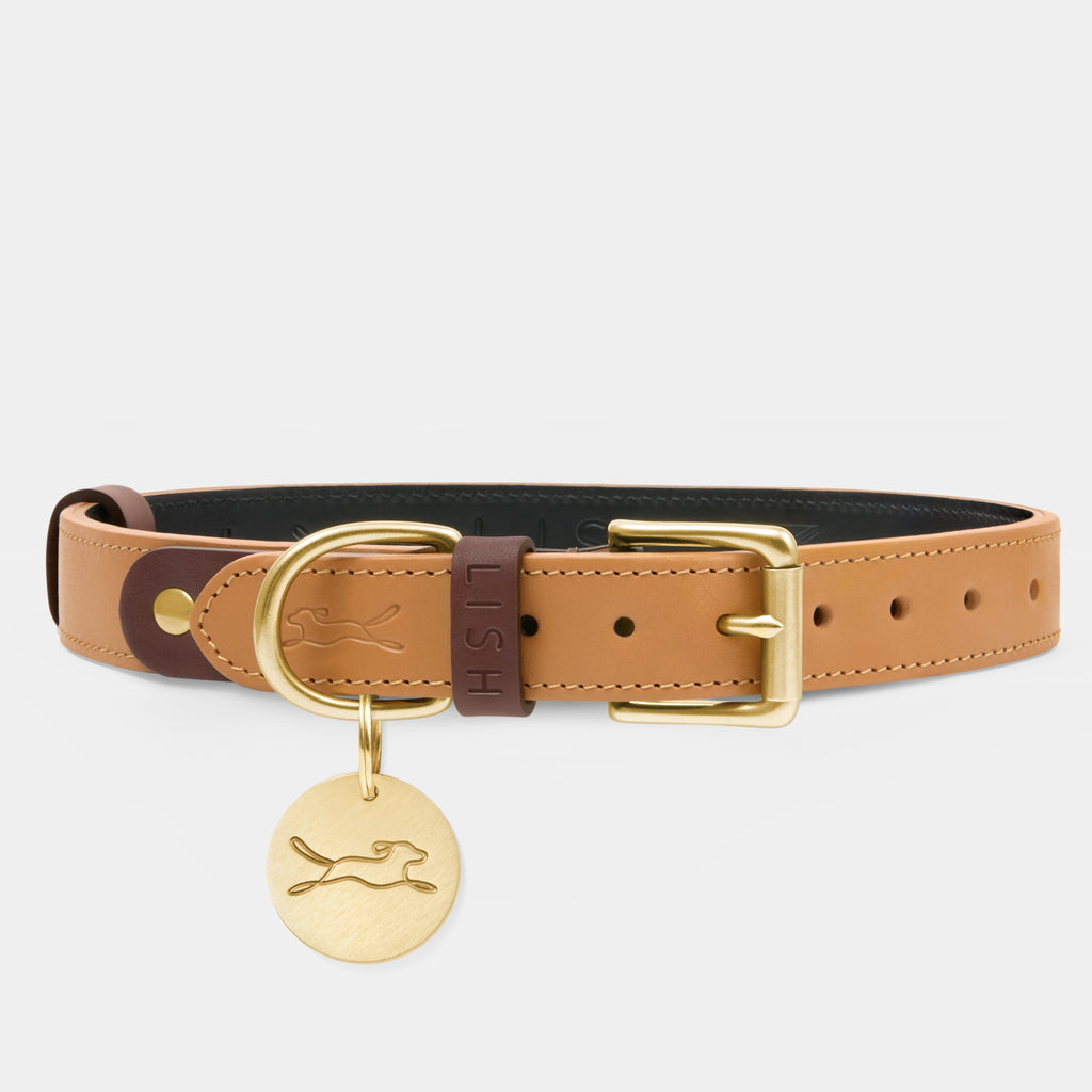 luxury brown dog collar, made in England from Italian leather, by premium designer dog collar Brand LISH, with solid brass buckle and dog tag attached