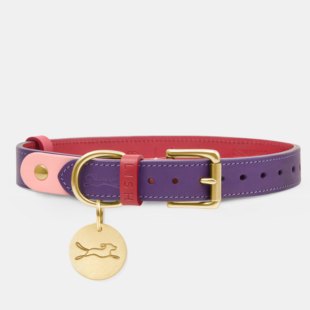 Purple luxury dog collar made in England from Italian leather by British premium designer dog accessory brand LISH, with brass buckle and solid brass dog tag attached. 