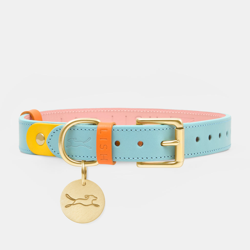 Powder baby blue luxury dog collar, a premium designer dog collar with brass buckle and yellow trim, crafted from Italian vegetable tanned leather and made in England by luxury British dog accessory brand LISH 