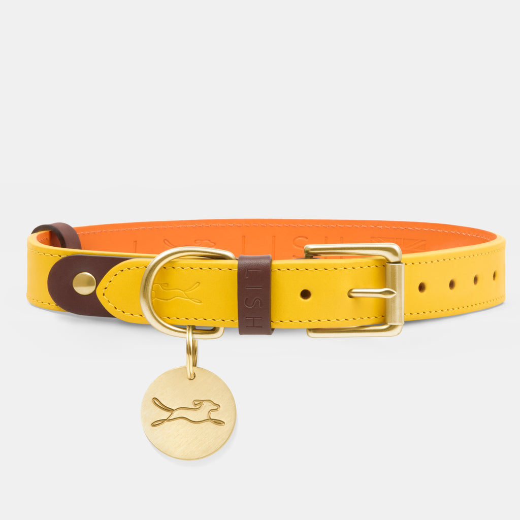 yellow luxury dog collar, made in England, designed with brown and orange trims in luxury Italian Leather by British  premium designer dog accessory Brand  LISH 