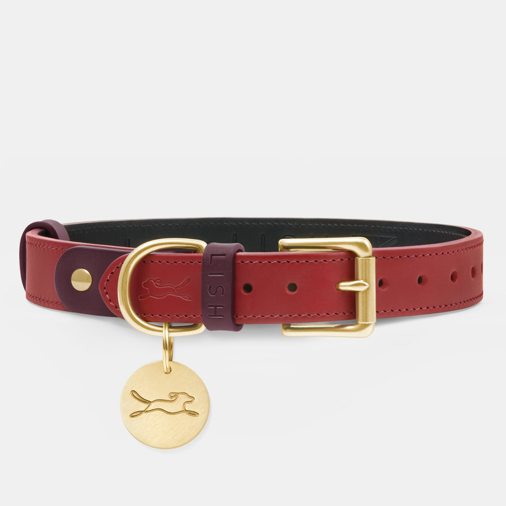 Luxury red dog collar made in England with Italian Leather by premium British dog accessory Brand LISH with solid brass dog tag attached