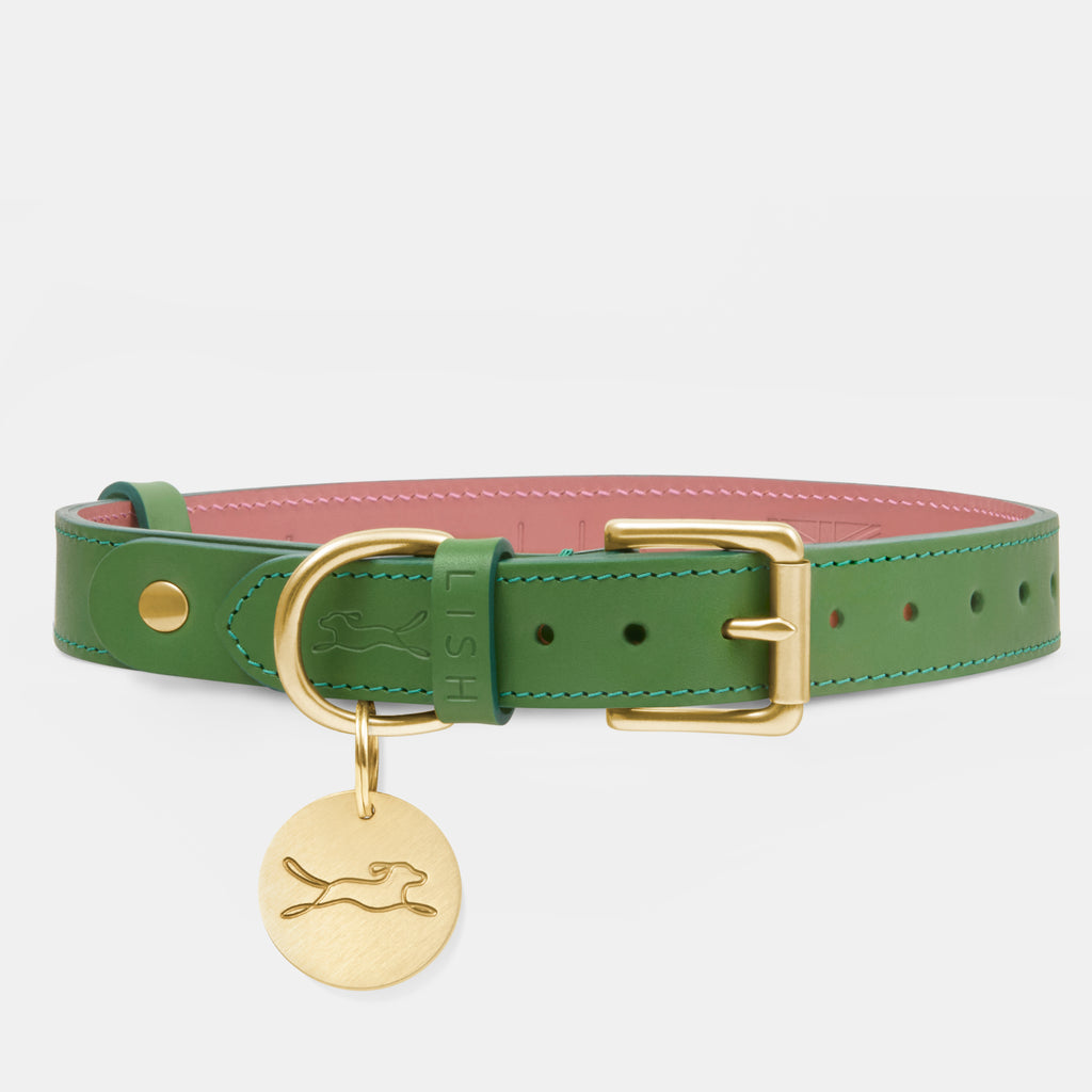 green designer dog collar made in England from Italian leather by LISH luxury British dog accessory brand, with attached solid brass dog tag 