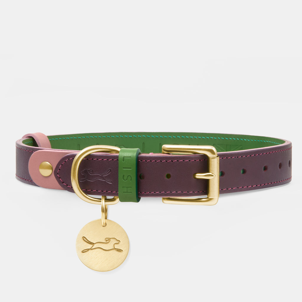 Front close up of plum red luxury dog collar, hand made in England from Italian Leather vegetable tanned leather, with solid brass dog tag, designed by British Heritage premium dog accessory brand LISH 