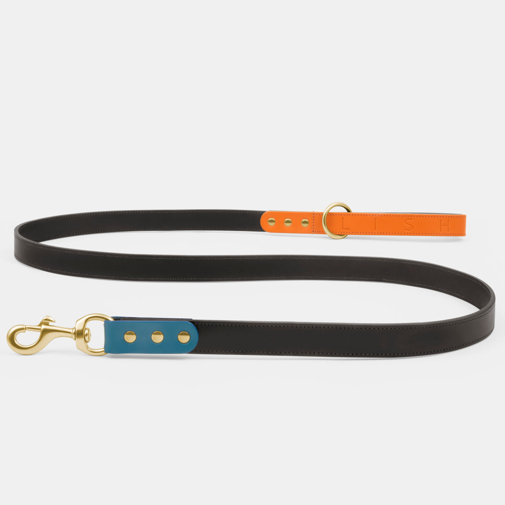 Luxury dog lead, dog leash in dark slate grey brown, with Orange handle and petrol blue trim, handmade in the United Kingdom from Italian leather vegetable tanned, no chrome, designed by LISH luxury dog leash British brand in London 