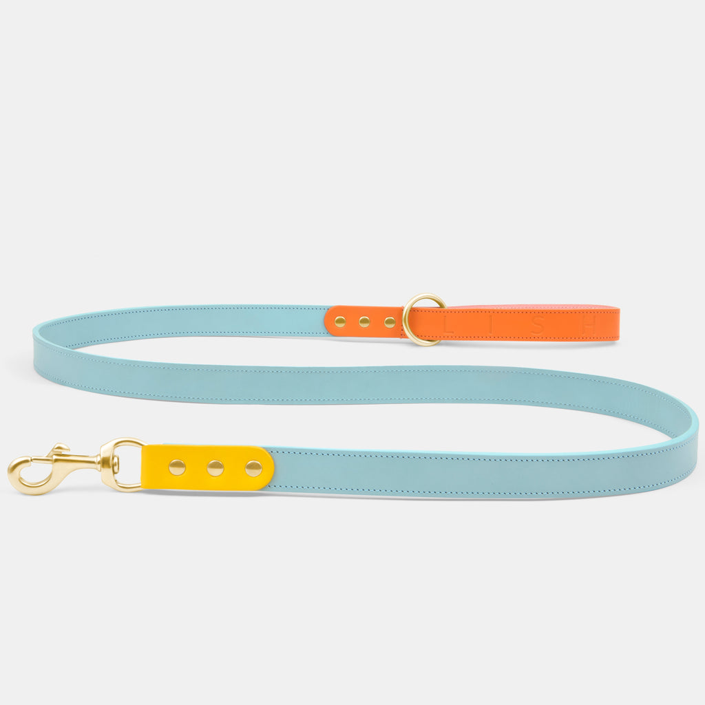 LUXURY DESIGNER DOG LEADS LISH