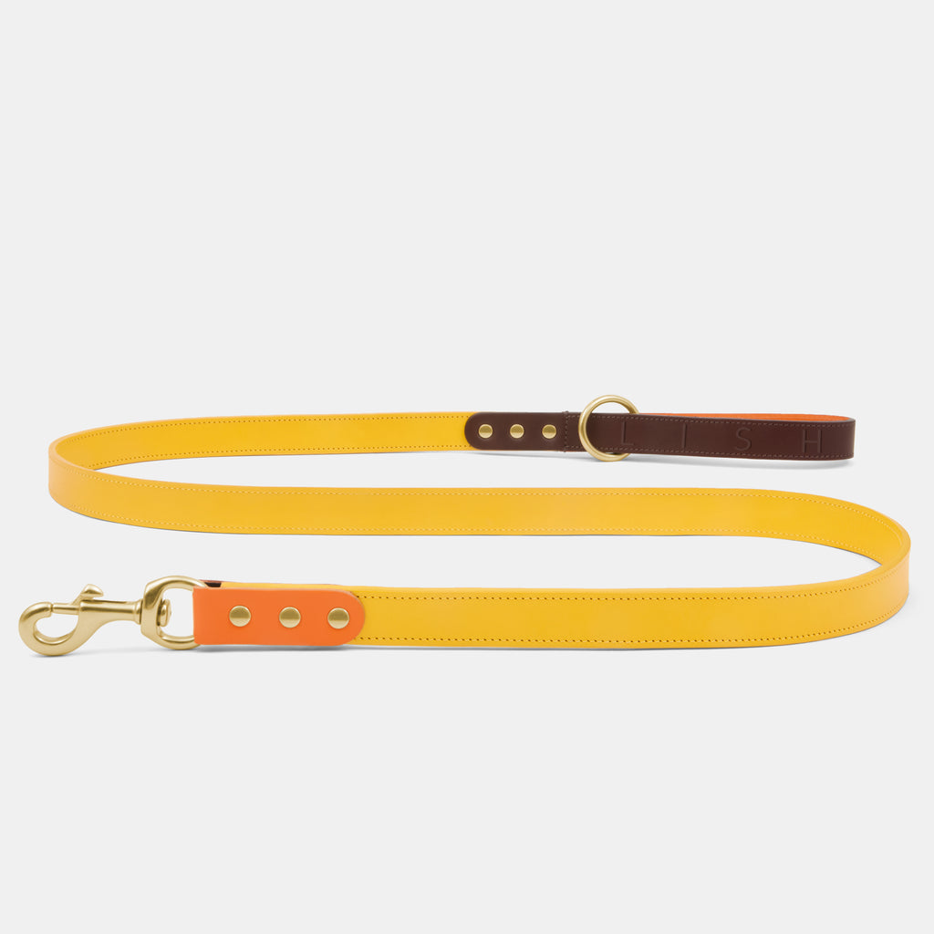 yellow luxury dog lead, designer dog leash in yellow with brown and orange trims, made in England from luxury Italian leather by premium dog accessory Brand LISH premium dog leash manufacturers