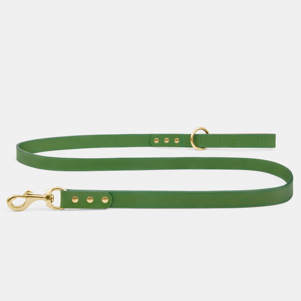 Spencer Pistachio Green Luxury Leather Designer Dog Lead