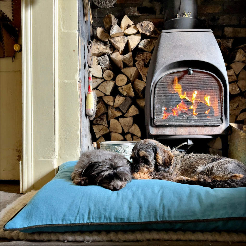 wire haired dachshund and cockapoo on teal blue luxury dog bed made in United Kingdom by designer British Heritage brand LISH London
