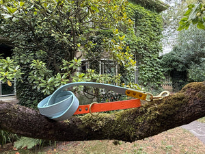 powder blue designer dog lead on tree branch in English Georgian farmhouse England by LISH 