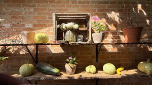 aspirational British country home with Decorative setup, potted plants and vegetables against a Georgian brick wall.