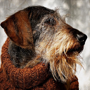 camel chocolate brown real wool cable dog jumper , dog sweater made from cruelty free wool by luxury designer British heritage brand 