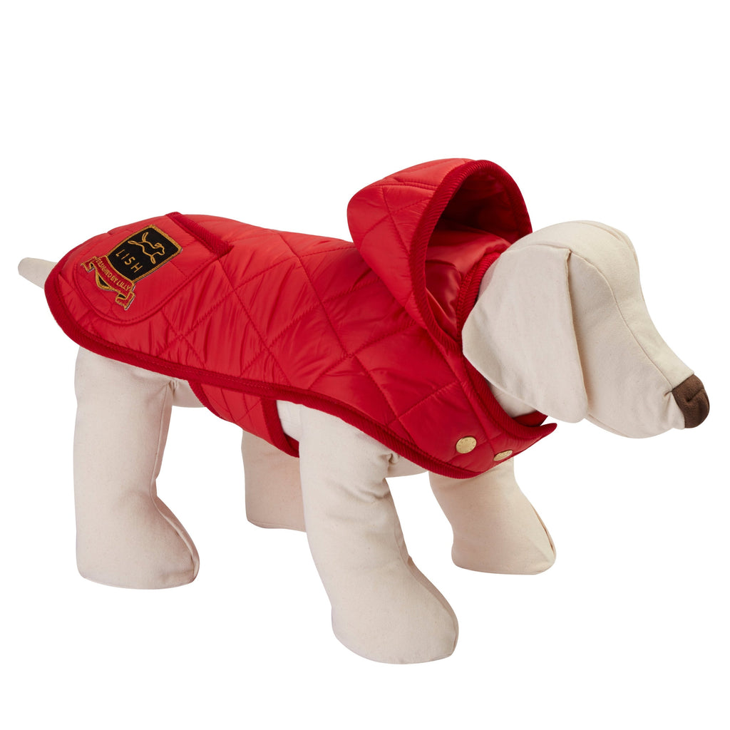 red quilted puffer jacket for dogs, made in England by LISH luxury designer dog wear Brand, from waterproof high tech fabric and hood with bespoke corduroy edging . 