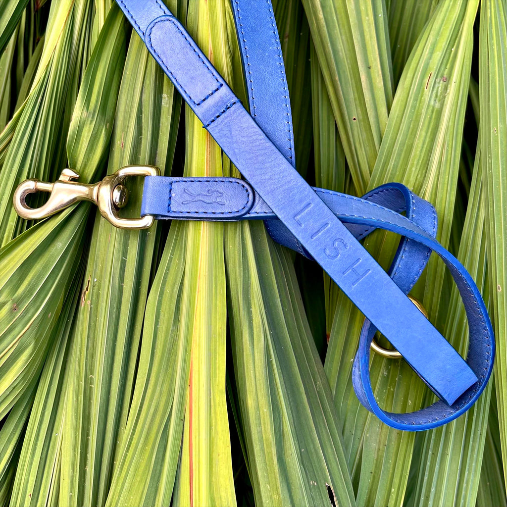 Cobalt blue luxury chrome free sustainable eco leather dog lead and dog leash