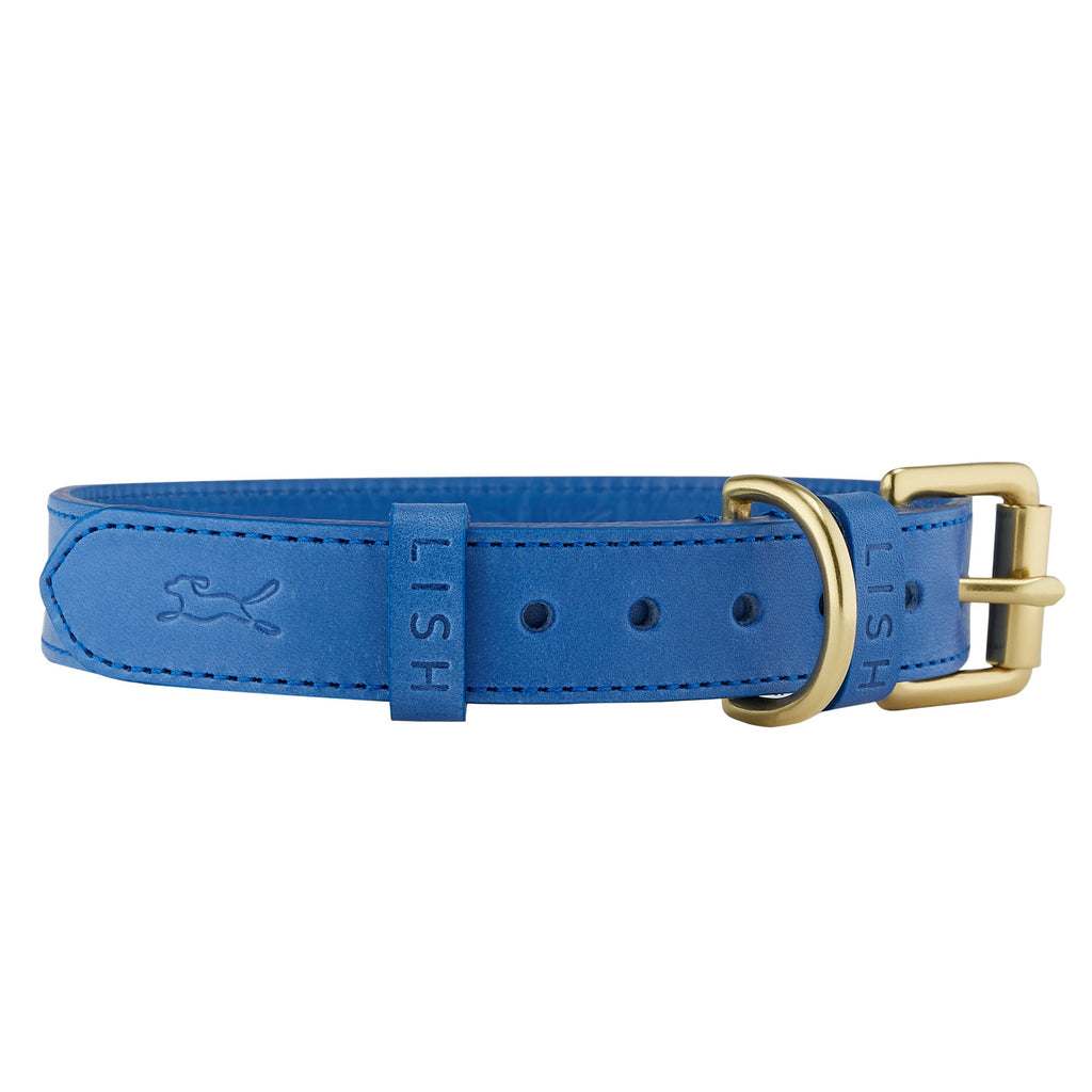 Coopers Cobalt Blue Leather luxury Dog Collar | Luxury British designer ...