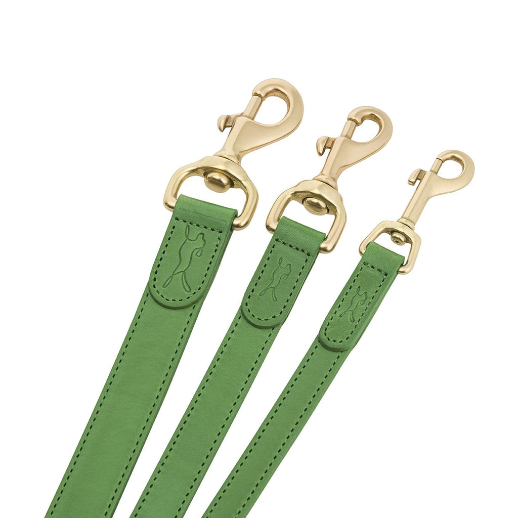 green leather designer dog leads with brass fittings by LISH luxury petwear