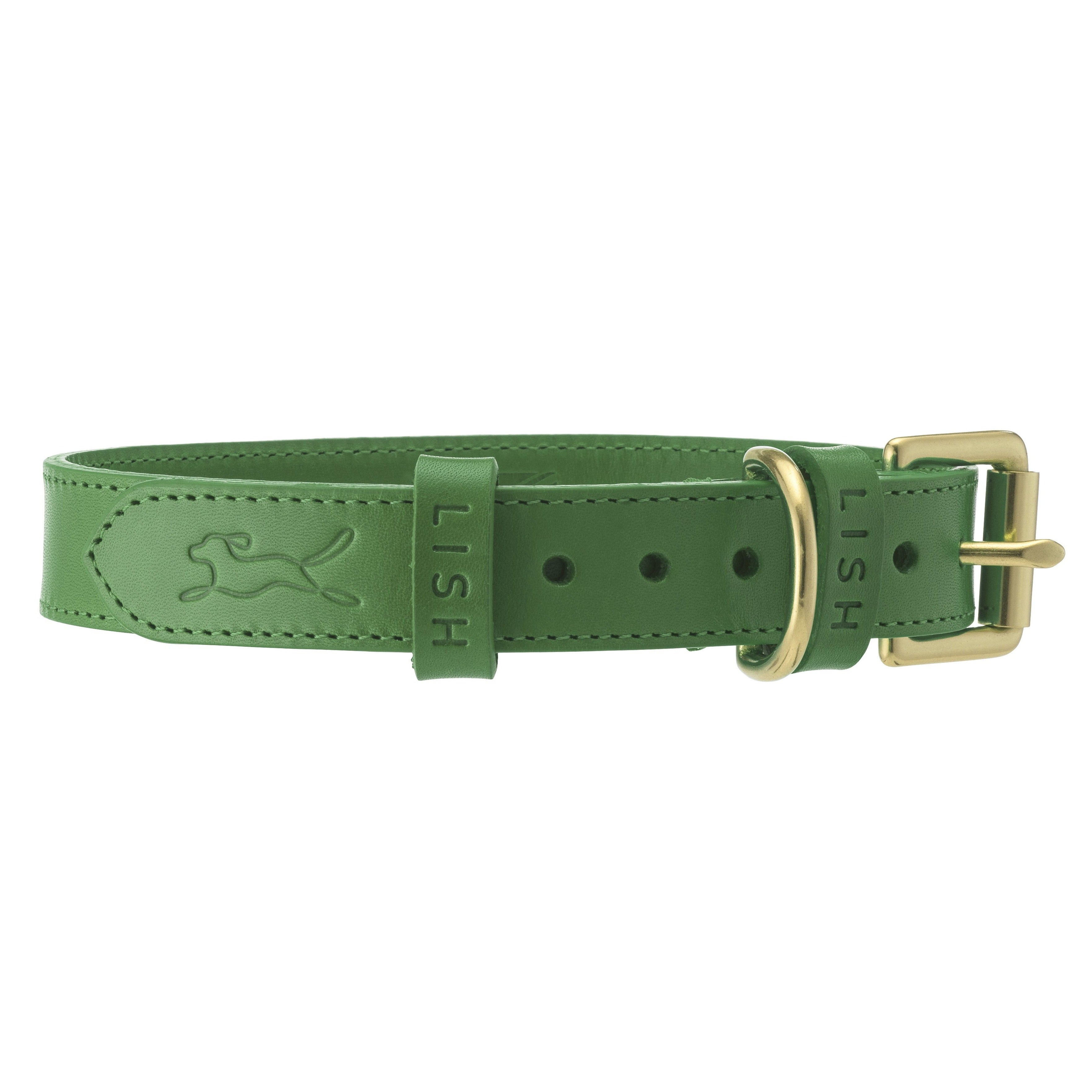 Green leather collar online