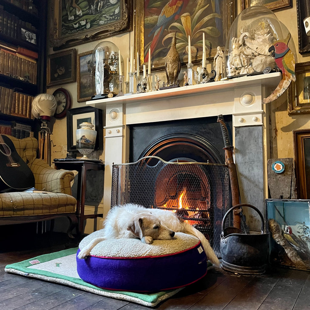 TERRIER DOG ASLEEP INFRONT OF FIREPLACE IN ENGLISH COUNTRY MANSION COUNTRY HOUSE, LUXURY HARRIS TWEED DOG BED IN PURPLE 